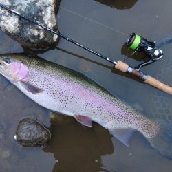 大物連発！ ～天竜川ルアーフライ専用区～